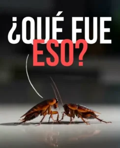 Rell / Short creado para promocionar Polimero Siliconado de No Toxin usando creación de personaje a partir de producto y animandolo con IA