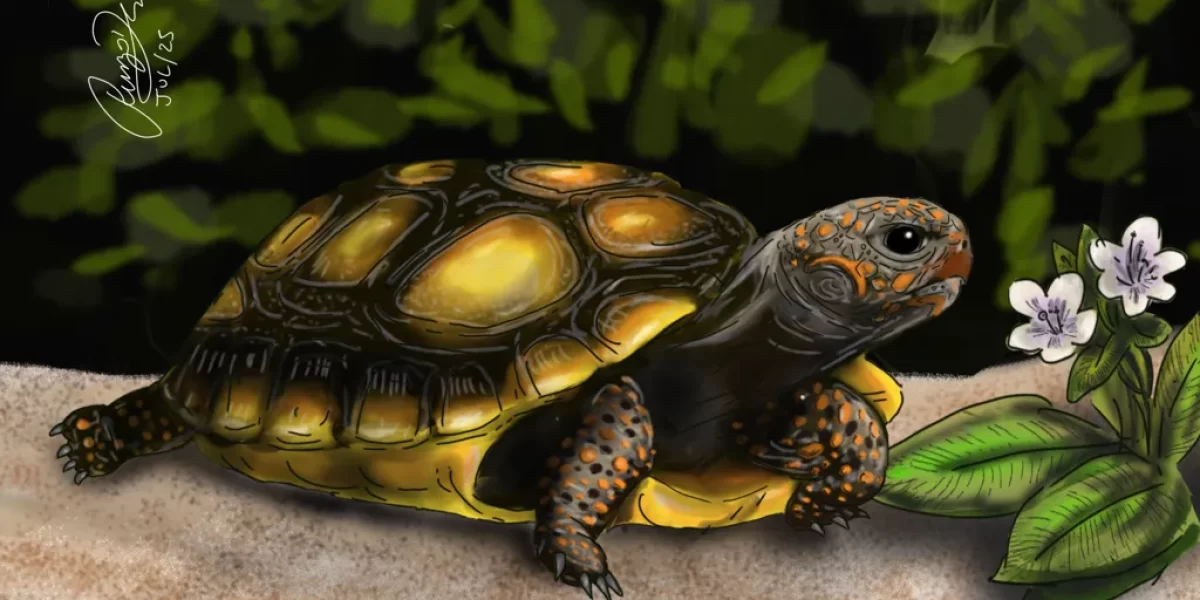 La ilustración digital zoológica es una herramienta fundamental para comunicar de forma visual las características de animales, ecosistemas y especies silvestres. A través de técnicas de ilustración digital, es posible representar con precisión detalles anatómicos, comportamientos y hábitats que facilitan la comprensión de información científica, educativa y divulgativa. Este tipo de ilustraciones son ampliamente utilizadas en libros, revistas especializadas, cartillas educativas, museos, parques naturales y proyectos de conservación ambiental.